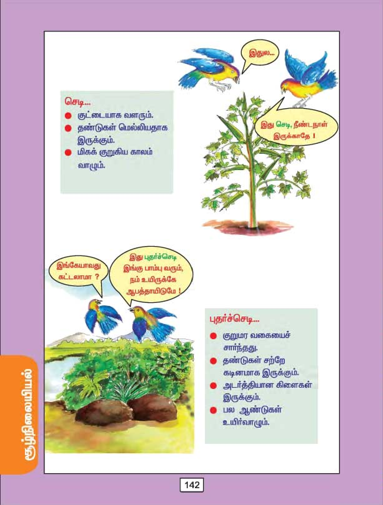sri-lanka-1st-grade-tamil-worksheets-for-grade-1-sri-lanka-grade-3-english-papers-novocom-top